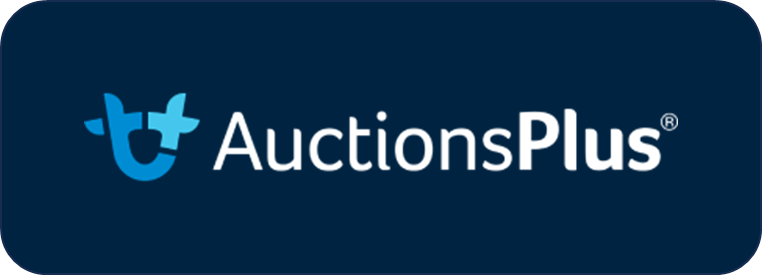 Auctions Plus